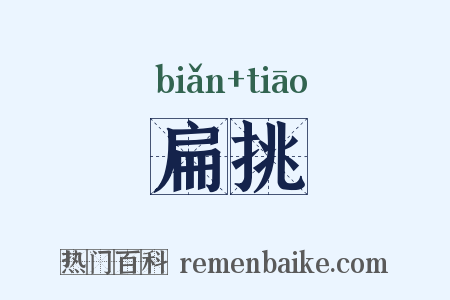 扁挑是什么意思的图片